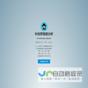 BI佐罗数据分析